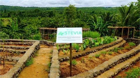 Victoria Nature Park